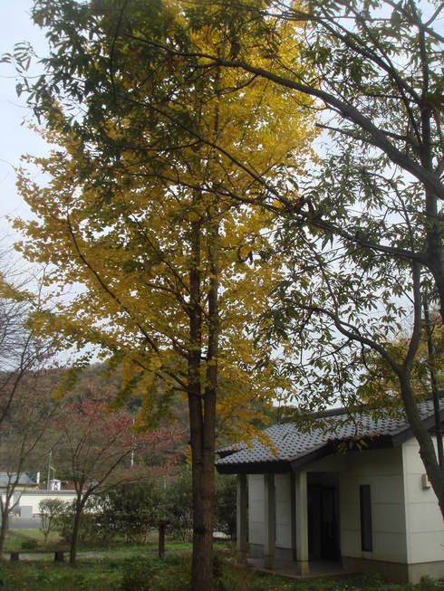 �{���Č����L