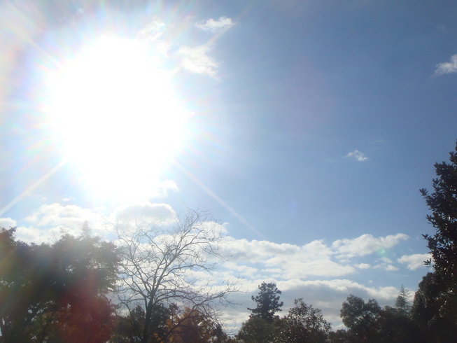 �{���Č����L