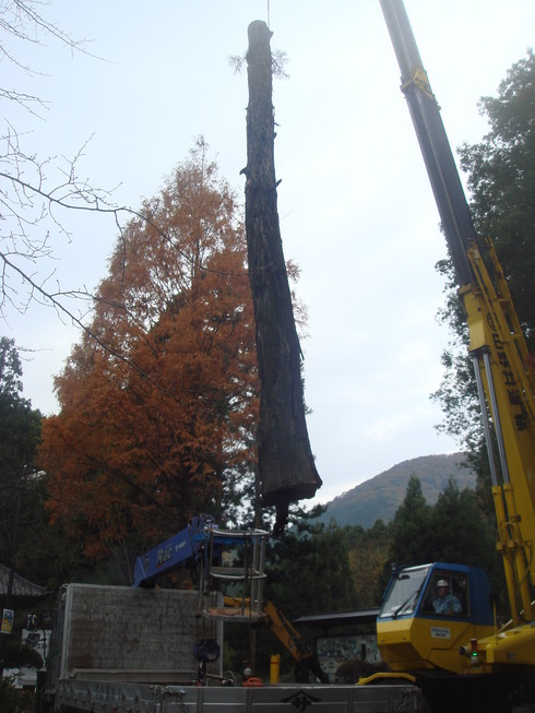 �{���Č����L