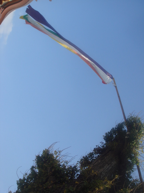 �{���Č����L