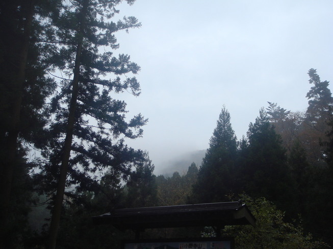 �{���Č����L