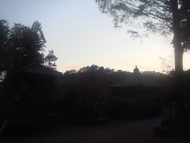 �{���Č����L