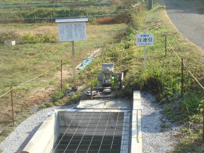 �{���Č����L