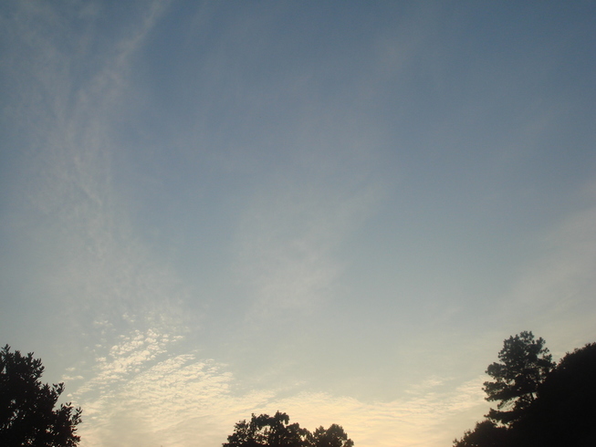 �{���Č����L