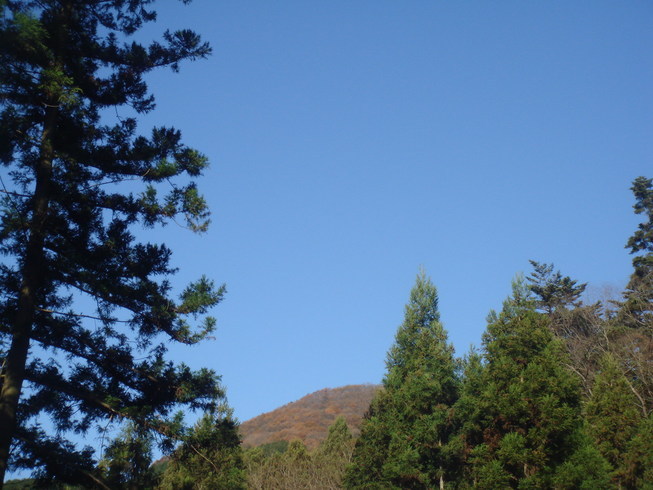 �{���Č����L