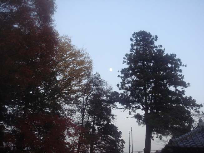 �{���Č����L