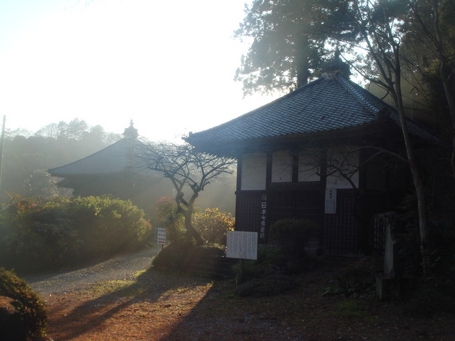 �{���Č����L