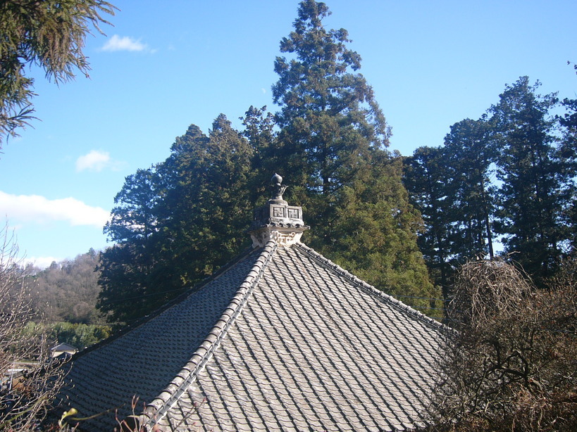 �{���Č����L