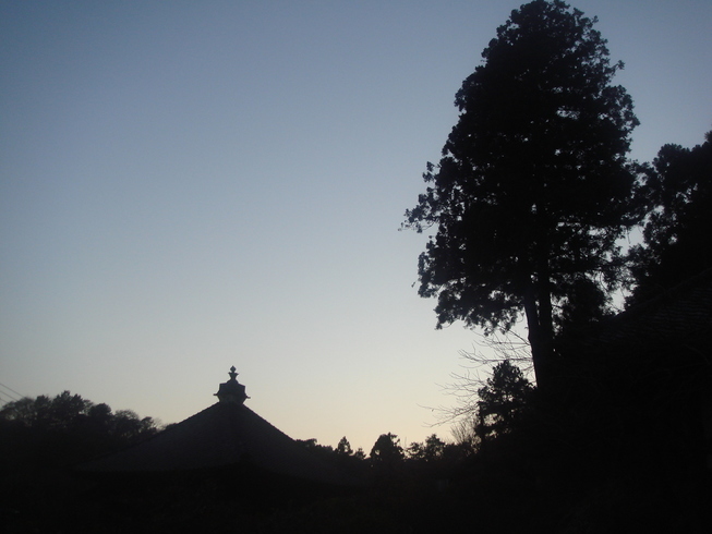 �{���Č����L