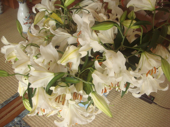 �{���Č����L