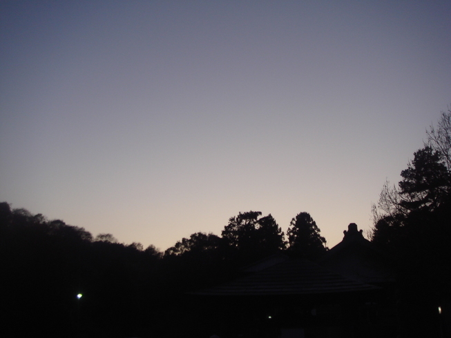 �{���Č����L