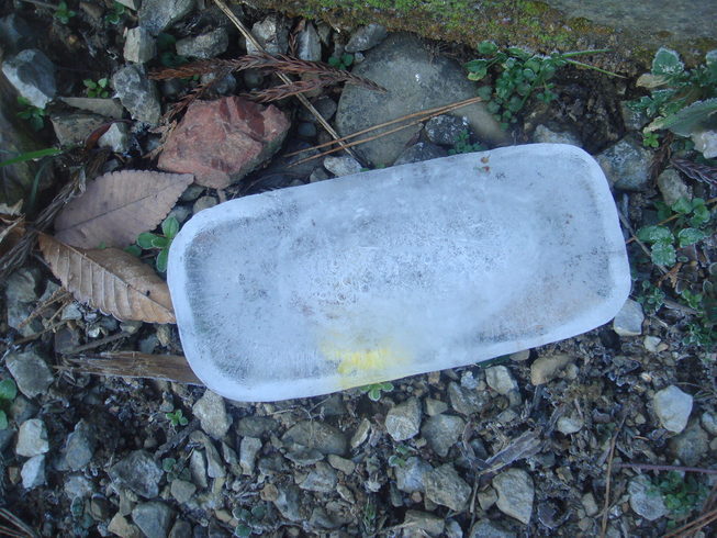 �{���Č����L