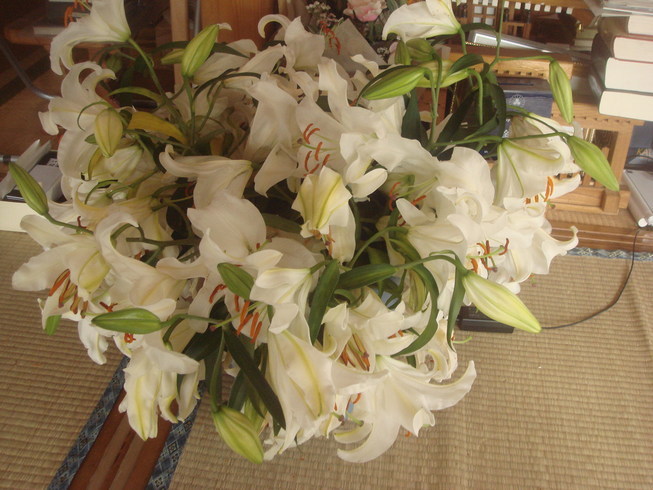 �{���Č����L