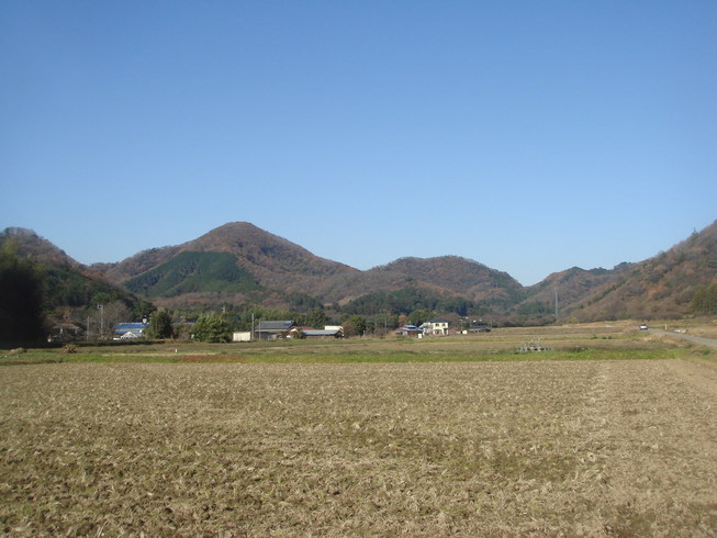 �{���Č����L