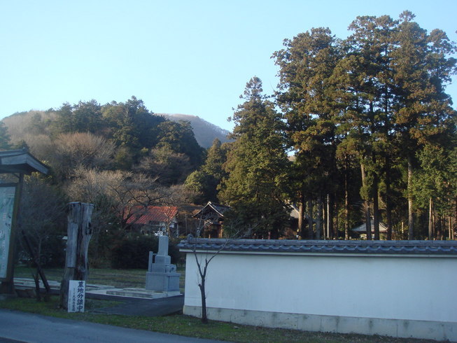 �{���Č����L