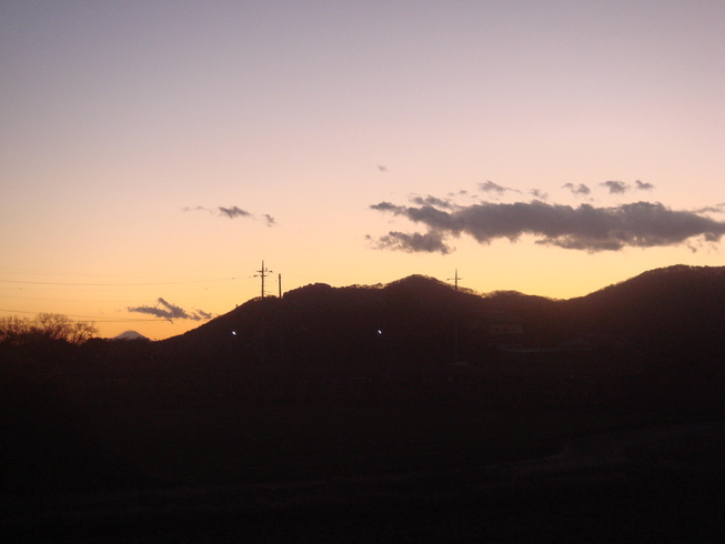 �{���Č����L