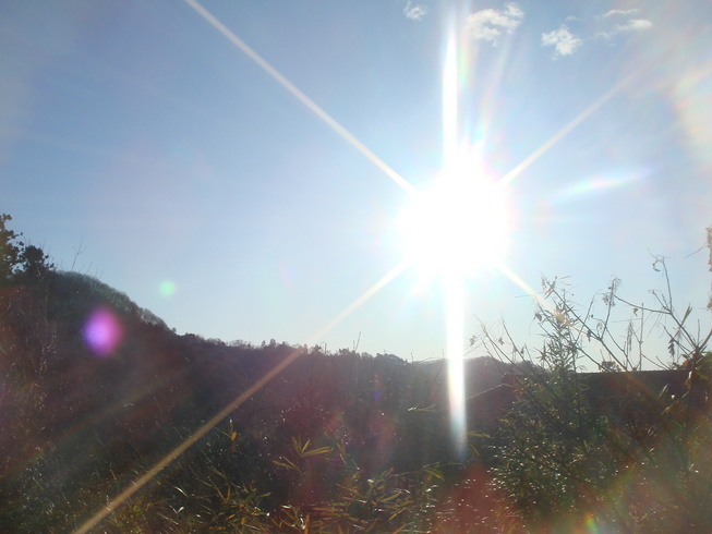 �{���Č����L