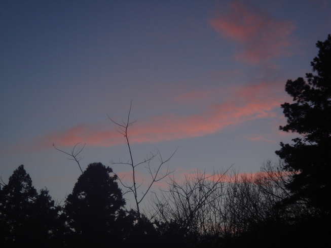 �{���Č����L