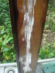 �{���Č����L