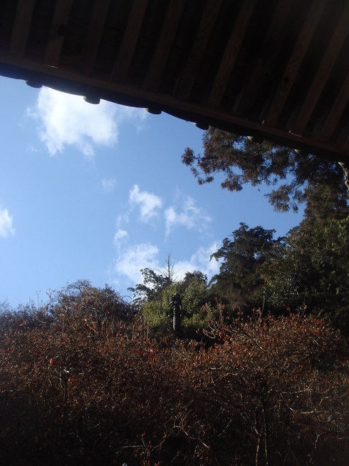 �{���Č����L