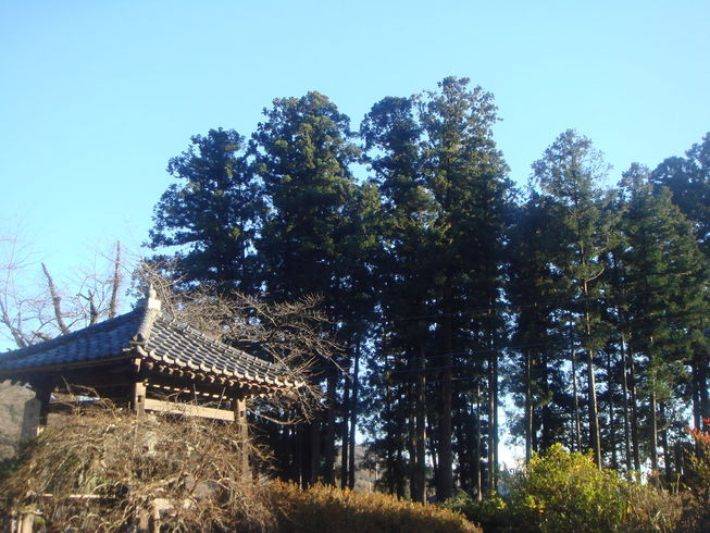 �{���Č����L