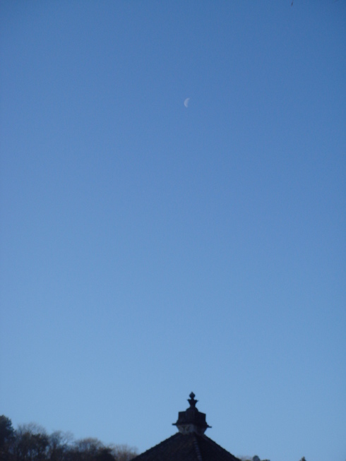 �{���Č����L