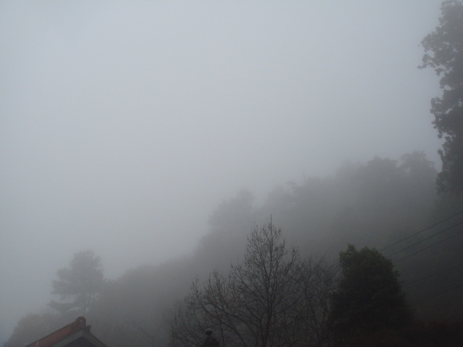 �{���Č����L