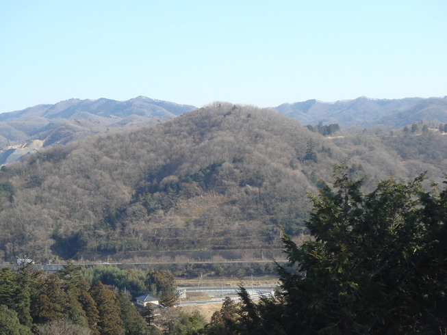 �{���Č����L