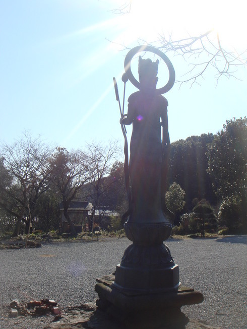 �{���Č����L