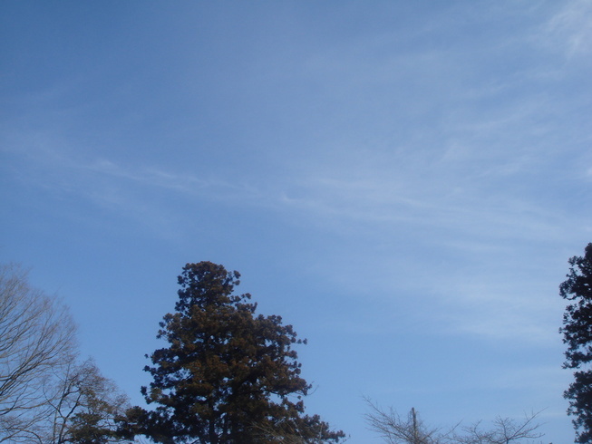 �{���Č����L