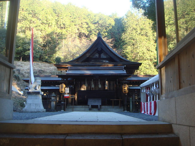 �{���Č����L