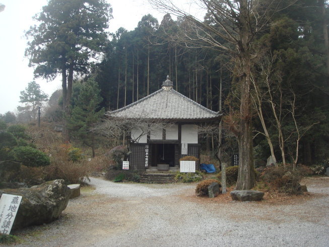 �{���Č����L