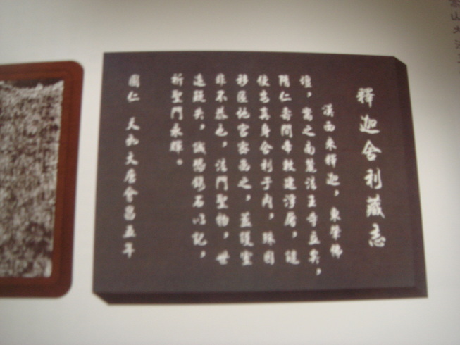 �{���Č����L