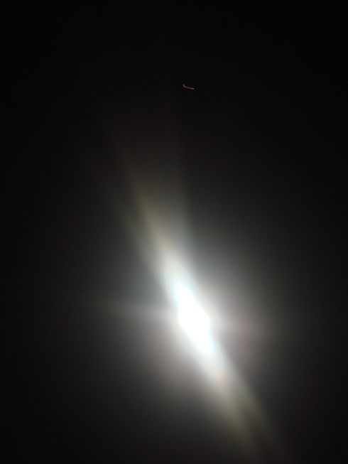 �{���Č����L