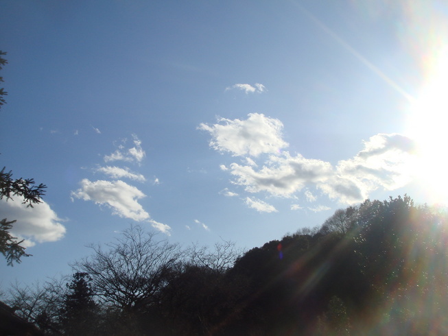 �{���Č����L