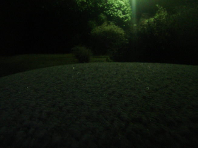 �{���Č����L