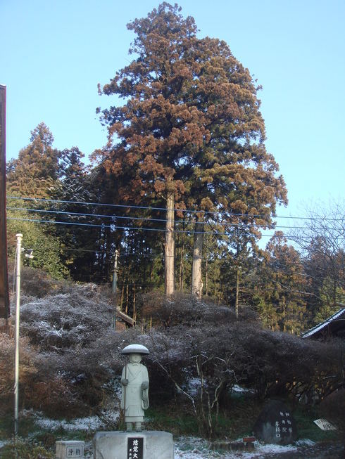 �{���Č����L