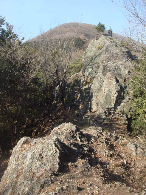 �{���Č����L