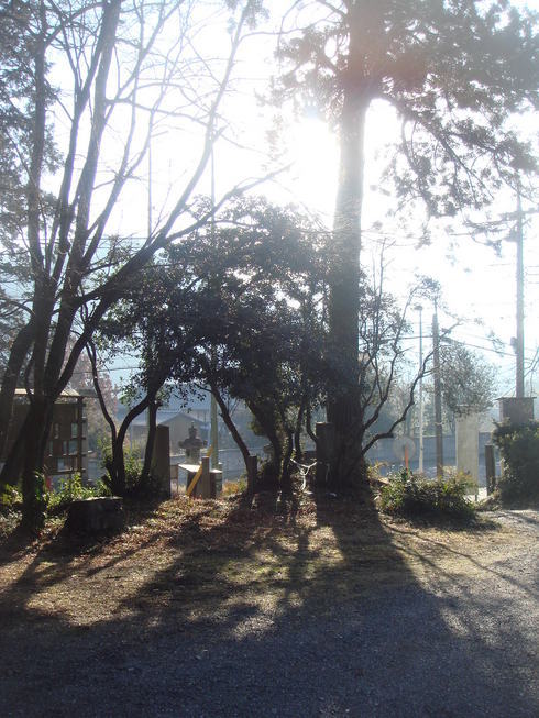 �{���Č����L