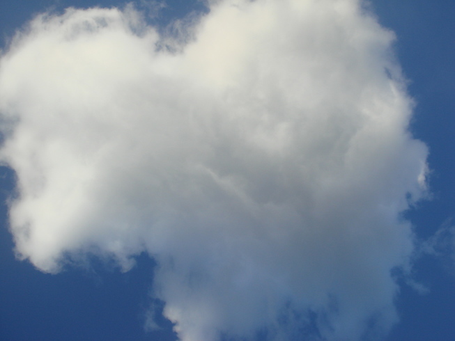 �{���Č����L