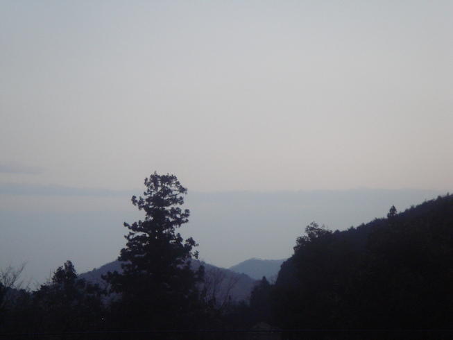 �{���Č����L