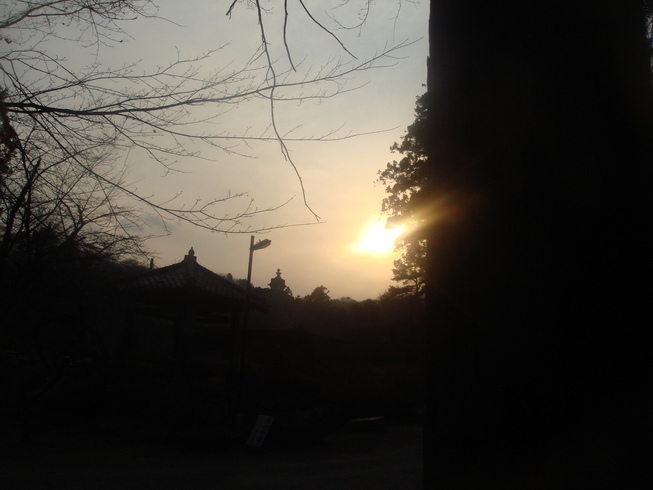 �{���Č����L