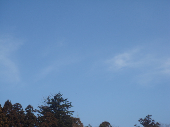 �{���Č����L