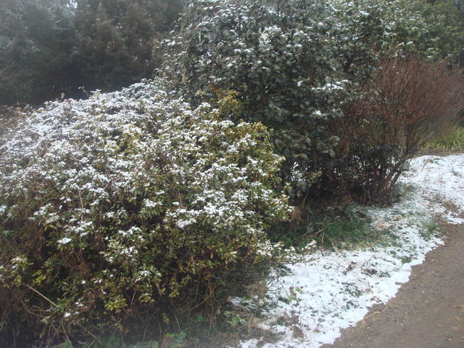 �{���Č����L