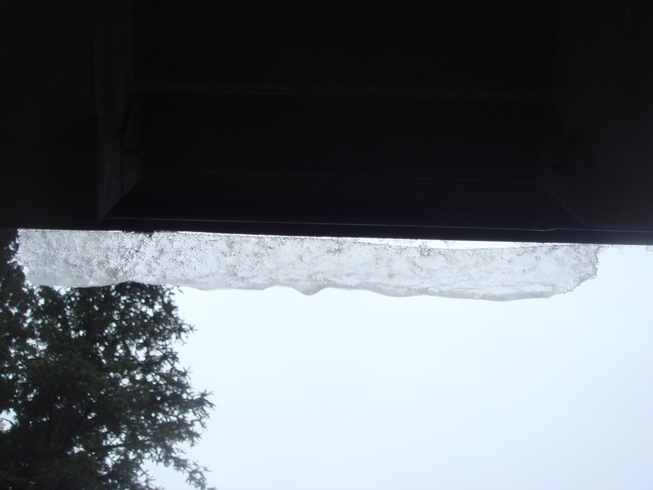 �{���Č����L