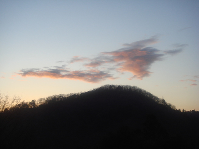 �{���Č����L