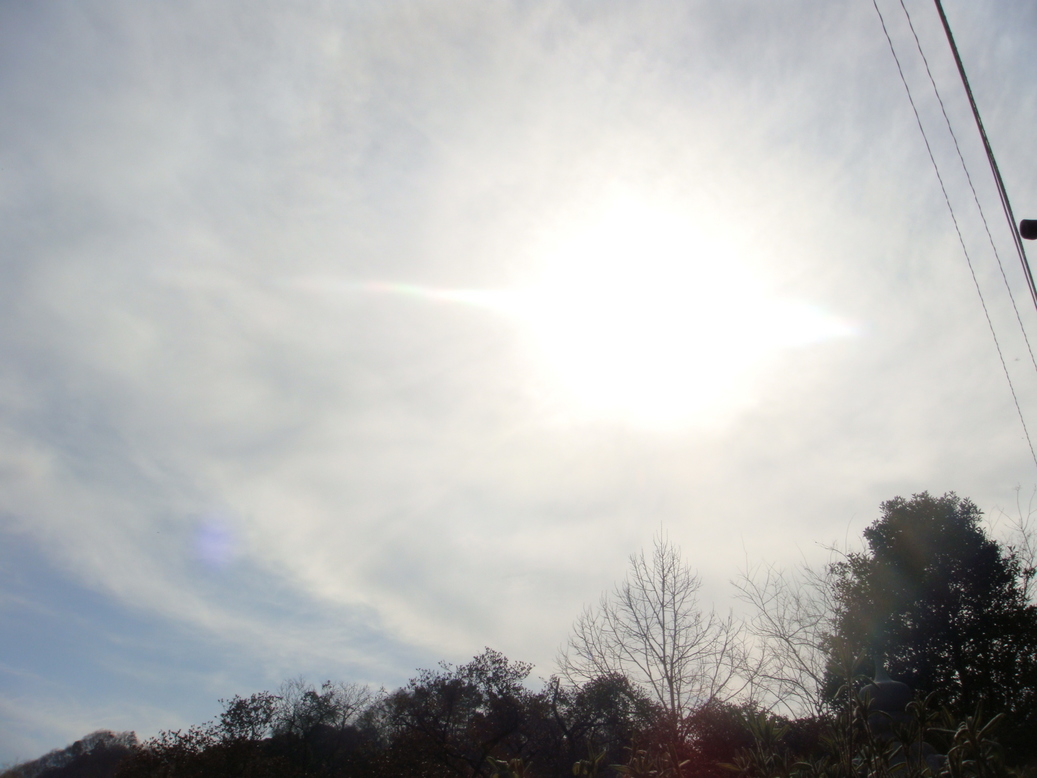 �{���Č����L