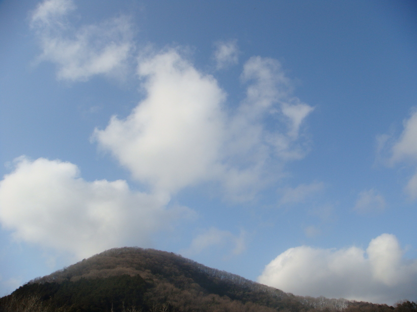 �{���Č����L