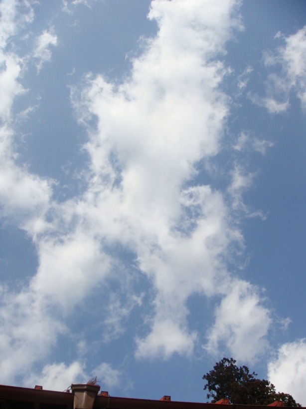 �{���Č����L