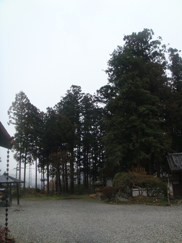 �{���Č����L